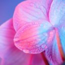 더끌림 산부인과의원 이미지