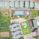 두바이애견풀빌라2 | 경주 애견풀빌라 끝판왕 / JS애견풀빌라 다녀온 후기🤍