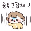 상하이 탕후루