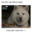 25. 3월