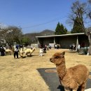 쥬쥬랜드 이미지