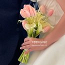 3월 본식 부케 추천, 다이아몬드릴리 핑크 튤립 후기 (실물 사진 O)