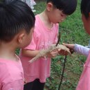 큰별자리어린이집 이미지