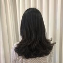 대전갤러리아근처 둔산동 미용실 라뷰티코아 후기