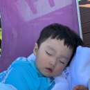 횡성펜션 숲속의쥬얼리 이미지