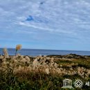 왜포연대 이미지