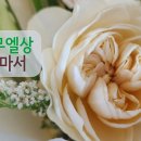 26. 8. 25(화) 사무엘상 17장, 로마서 15장 이미지