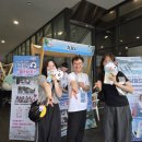 야호관광