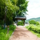 정응민생가주차장 이미지