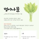 황정희 농장 네이버블로그