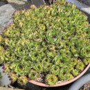 고향산천휴게소 이미지