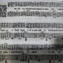 다성자원 이미지