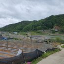 오운2리 이미지