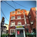 세종 오즈 이미지