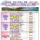 (주)지니투어