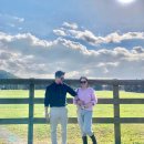 광해목장 이미지