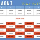 크로스핏 라온3 이미지