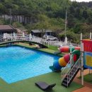 가평가보자독채애견풀빌라수영장 이미지