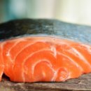 연어로만 이미지