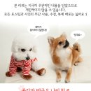 (주)서화제약 | 코펫 후기 너무너무 즐거워 -펫파, 채널펫, 피플앤컴퍼니 등