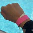 에이디디 관광농원 이미지