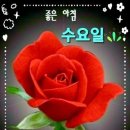 하루의 행복 이미지