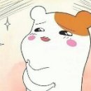 삼겹살파는집 이미지