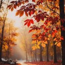 연세쉬즈산부인과의원 이미지