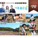 평기 | 여주가볼만한곳 영팜고구마체험농장 어린이날연휴 근교나들이 장소 위치 비용 주차장 혼잡도
