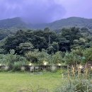 세진하나로마트 이미지