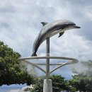 어부실외 | [공지] 오키나와 추라우미 수족관 고래상어 관람 후기부터 티켓 할인 꿀팁까지