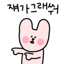 봄날의 댕댕이 이미지