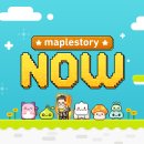 [Maple Now] 금일 16시 방송 예정 이미지