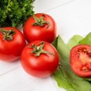 토마토 이미지