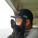 진촌 공중화장실 | 요미와 함께 하는 인천 장봉도 해수욕장 여행