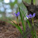 보현목장 이미지