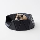 Design Dog 이미지