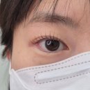 플러피비 네이버블로그