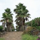 호근동-7 이미지