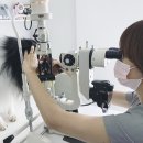 로얄동물메디컬센터 강동 이미지