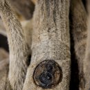 365채움한의원 이미지