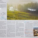 원조홍교꼬막회관 이미지