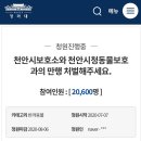 "보호소 들어가는 줄 알았는데..." 케이블타이에 꽁꽁 묶인채 땡볕에 방치된 유기견들 이미지