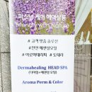 에스쁘아헤어샵 - 달서구 성당로 203 | 에스쁘아헤어샵
