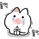 워시비 이미지