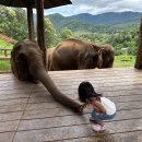 잉어물놀이 이미지