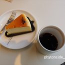 투썸플레이스제주아라점