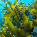 북구종로약국 이미지