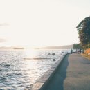 선부재활의학과의원 이미지