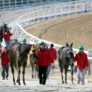 마분공원 이미지